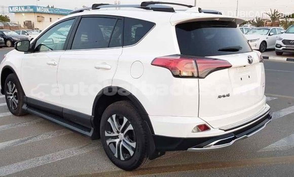 Buy Import Toyota RAV4 White Car in Import - Dubai in Barbados Buy Import Toyota RAV4 White Car in Import - Dubai in Barbados