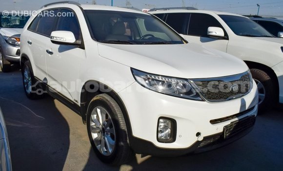 Buy Import Kia Sorento White Car in Import - Dubai in Barbados Buy Import Kia Sorento White Car in Import - Dubai in Barbados