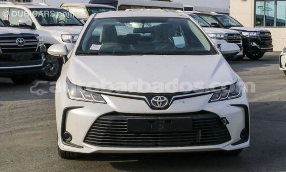 Buy Import Toyota Corolla White Car in Import - Dubai in Barbados Buy Import Toyota Corolla White Car in Import - Dubai in Barbados