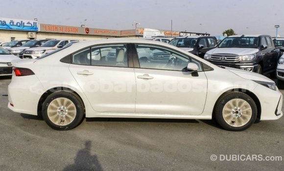 Buy Import Toyota Corolla White Car in Import - Dubai in Barbados Buy Import Toyota Corolla White Car in Import - Dubai in Barbados