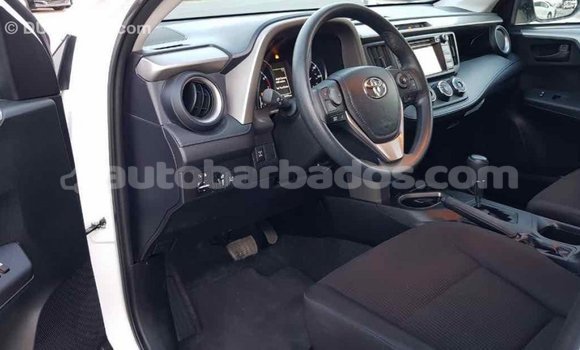 Buy Import Toyota RAV4 White Car in Import - Dubai in Barbados Buy Import Toyota RAV4 White Car in Import - Dubai in Barbados