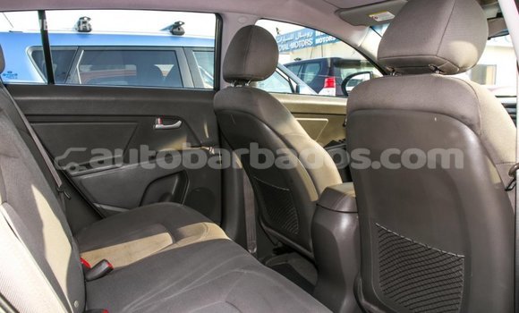 Buy Import Kia Sportage Brown Car in Import - Dubai in Barbados Buy Import Kia Sportage Brown Car in Import - Dubai in Barbados