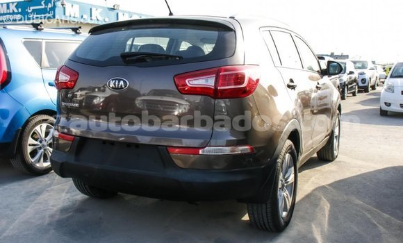 Buy Import Kia Sportage Brown Car in Import - Dubai in Barbados Buy Import Kia Sportage Brown Car in Import - Dubai in Barbados
