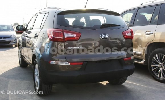 Buy Import Kia Sportage Brown Car in Import - Dubai in Barbados Buy Import Kia Sportage Brown Car in Import - Dubai in Barbados