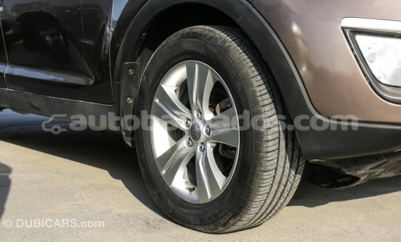 Buy Import Kia Sportage Brown Car in Import - Dubai in Barbados