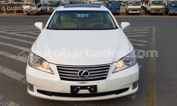 Buy Import Lexus ES White Car in Import - Dubai in Barbados Buy Import Lexus ES White Car in Import - Dubai in Barbados