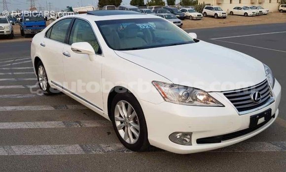 Buy Import Lexus ES White Car in Import - Dubai in Barbados Buy Import Lexus ES White Car in Import - Dubai in Barbados