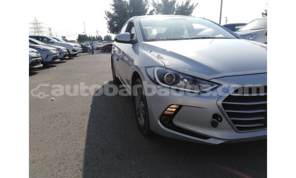 Buy Import Hyundai Elantra Other Car in Import - Dubai in Barbados Buy Import Hyundai Elantra Other Car in Import - Dubai in Barbados
