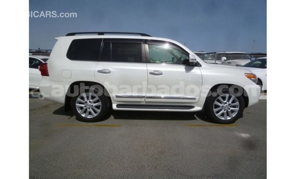 Buy Import Toyota Land Cruiser White Car in Import - Dubai in Barbados Buy Import Toyota Land Cruiser White Car in Import - Dubai in Barbados