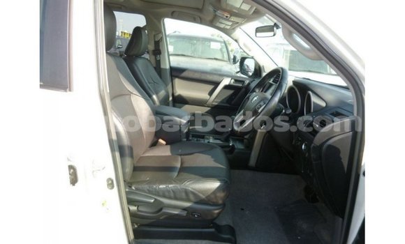 Buy Import Toyota Prado White Car in Import - Dubai in Barbados Buy Import Toyota Prado White Car in Import - Dubai in Barbados