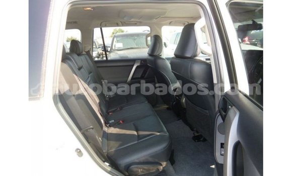 Buy Import Toyota Prado White Car in Import - Dubai in Barbados Buy Import Toyota Prado White Car in Import - Dubai in Barbados