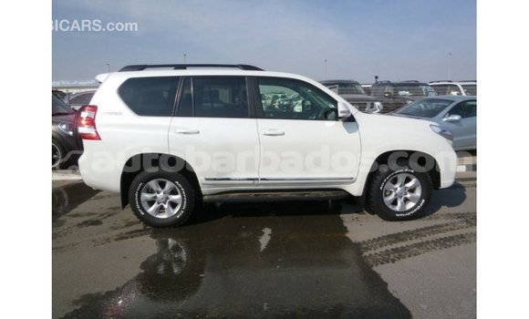 Buy Import Toyota Prado White Car in Import - Dubai in Barbados Buy Import Toyota Prado White Car in Import - Dubai in Barbados