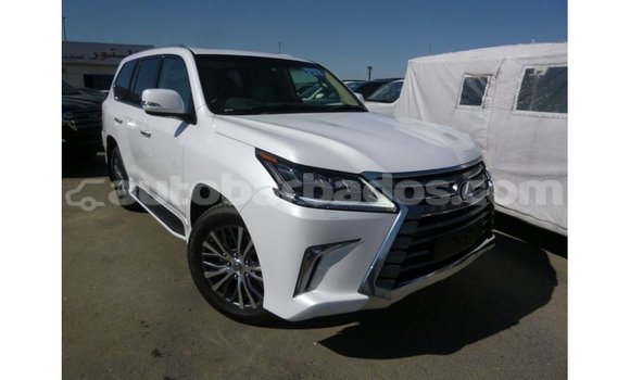 Buy Import Lexus LX White Car in Import - Dubai in Barbados Buy Import Lexus LX White Car in Import - Dubai in Barbados