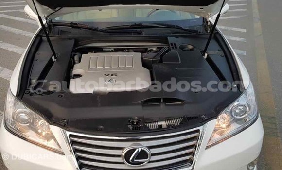 Buy Import Lexus ES White Car in Import - Dubai in Barbados