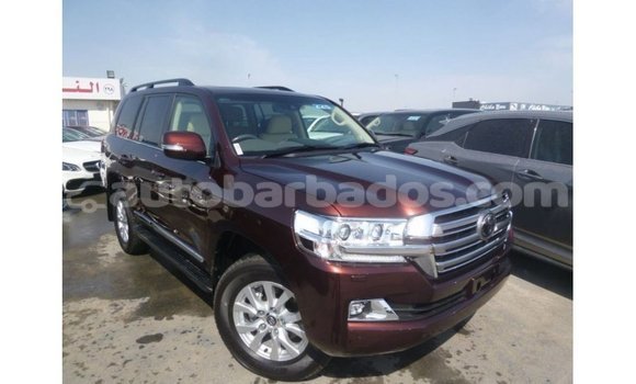 Buy Import Toyota Land Cruiser Brown Car in Import - Dubai in Barbados Buy Import Toyota Land Cruiser Brown Car in Import - Dubai in Barbados