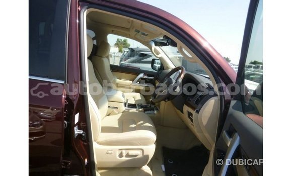 Buy Import Toyota Land Cruiser Brown Car in Import - Dubai in Barbados Buy Import Toyota Land Cruiser Brown Car in Import - Dubai in Barbados