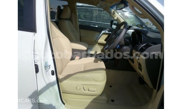 Buy Import Toyota Prado White Car in Import - Dubai in Barbados Buy Import Toyota Prado White Car in Import - Dubai in Barbados