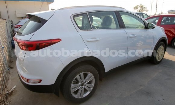Buy Import Kia Sportage White Car in Import - Dubai in Barbados Buy Import Kia Sportage White Car in Import - Dubai in Barbados