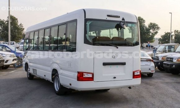 Buy Import Toyota Coaster White Car in Import - Dubai in Barbados Buy Import Toyota Coaster White Car in Import - Dubai in Barbados