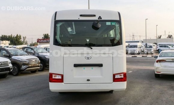 Buy Import Toyota Coaster White Car in Import - Dubai in Barbados Buy Import Toyota Coaster White Car in Import - Dubai in Barbados