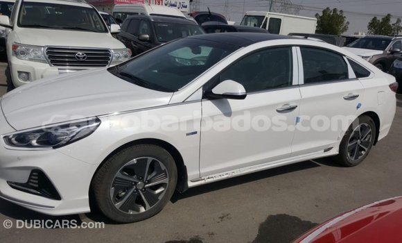Buy Import Hyundai Sonata White Car in Import - Dubai in Barbados Buy Import Hyundai Sonata White Car in Import - Dubai in Barbados