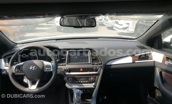 Buy Import Hyundai Sonata White Car in Import - Dubai in Barbados Buy Import Hyundai Sonata White Car in Import - Dubai in Barbados