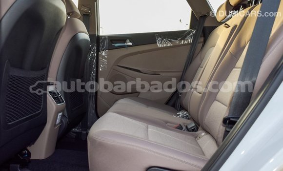Buy Import Hyundai Tucson White Car in Import - Dubai in Barbados Buy Import Hyundai Tucson White Car in Import - Dubai in Barbados