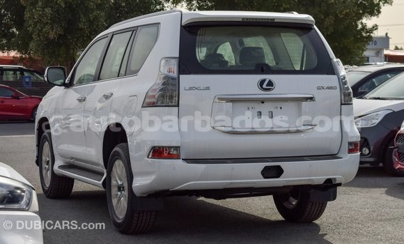 Buy Import Lexus GX White Car in Import - Dubai in Barbados Buy Import Lexus GX White Car in Import - Dubai in Barbados