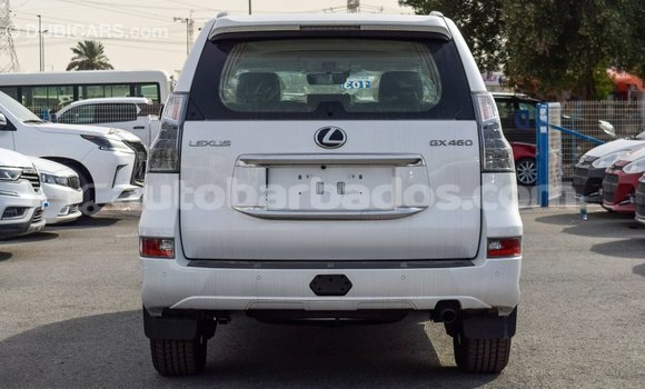 Buy Import Lexus GX White Car in Import - Dubai in Barbados Buy Import Lexus GX White Car in Import - Dubai in Barbados