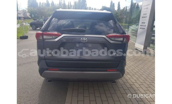 Buy Import Toyota RAV4 Other Car in Import - Dubai in Barbados Buy Import Toyota RAV4 Other Car in Import - Dubai in Barbados