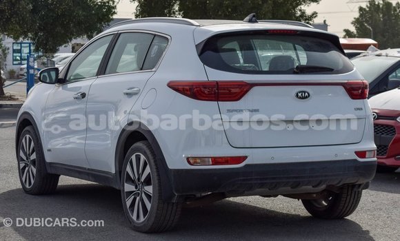 Buy Import Kia Sportage White Car in Import - Dubai in Barbados Buy Import Kia Sportage White Car in Import - Dubai in Barbados