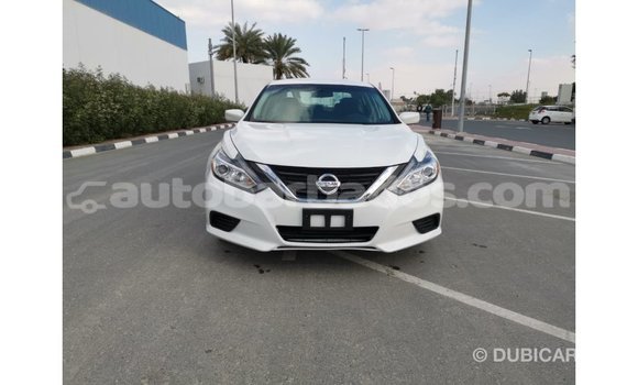 Buy Import Nissan Altima White Car in Import - Dubai in Barbados Buy Import Nissan Altima White Car in Import - Dubai in Barbados