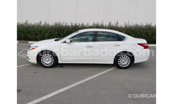 Buy Import Nissan Altima White Car in Import - Dubai in Barbados Buy Import Nissan Altima White Car in Import - Dubai in Barbados