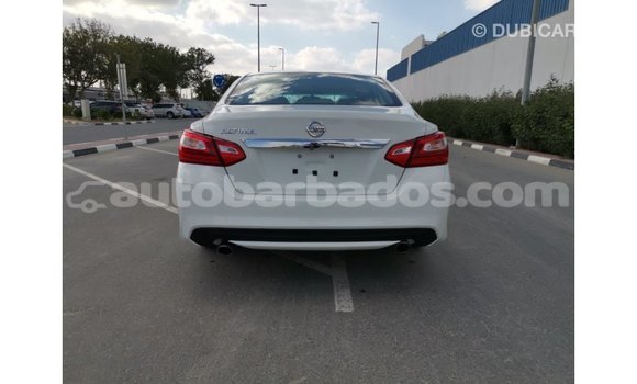 Buy Import Nissan Altima White Car in Import - Dubai in Barbados Buy Import Nissan Altima White Car in Import - Dubai in Barbados