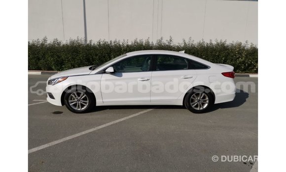 Buy Import Hyundai Sonata White Car in Import - Dubai in Barbados Buy Import Hyundai Sonata White Car in Import - Dubai in Barbados