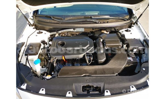Buy Import Hyundai Sonata White Car in Import - Dubai in Barbados Buy Import Hyundai Sonata White Car in Import - Dubai in Barbados