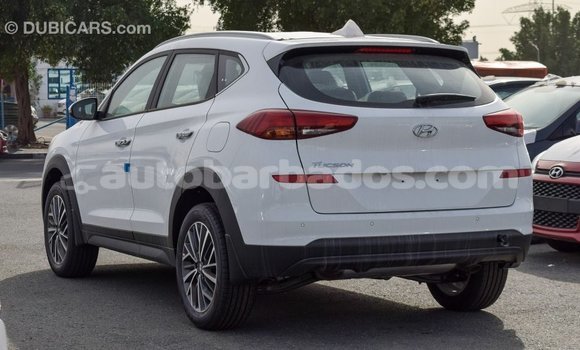 Buy Import Hyundai Tucson White Car in Import - Dubai in Barbados Buy Import Hyundai Tucson White Car in Import - Dubai in Barbados