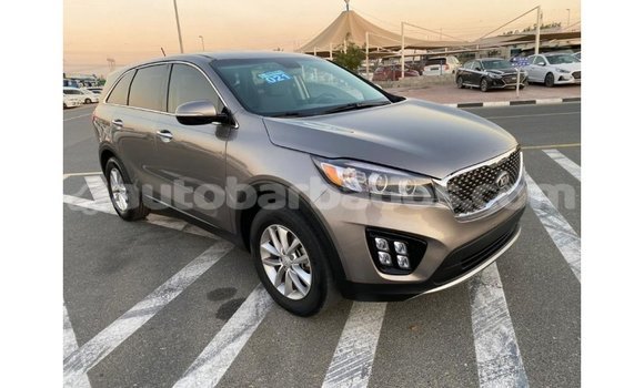 Buy Import Kia Sorento Other Car in Import - Dubai in Barbados Buy Import Kia Sorento Other Car in Import - Dubai in Barbados