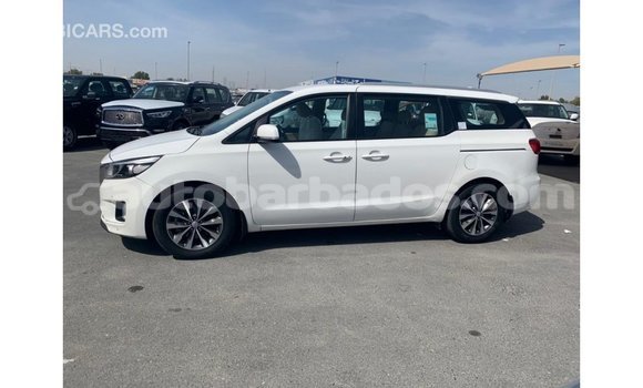 Buy Import Kia Carnival White Car in Import - Dubai in Barbados Buy Import Kia Carnival White Car in Import - Dubai in Barbados
