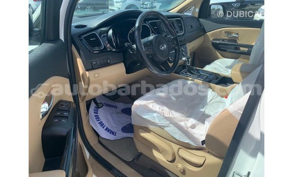 Buy Import Kia Carnival White Car in Import - Dubai in Barbados Buy Import Kia Carnival White Car in Import - Dubai in Barbados