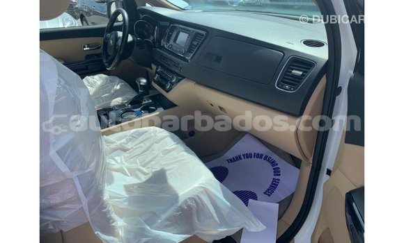 Buy Import Kia Carnival White Car in Import - Dubai in Barbados Buy Import Kia Carnival White Car in Import - Dubai in Barbados