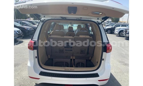 Buy Import Kia Carnival White Car in Import - Dubai in Barbados Buy Import Kia Carnival White Car in Import - Dubai in Barbados