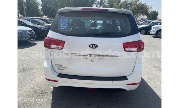 Buy Import Kia Carnival White Car in Import - Dubai in Barbados Buy Import Kia Carnival White Car in Import - Dubai in Barbados