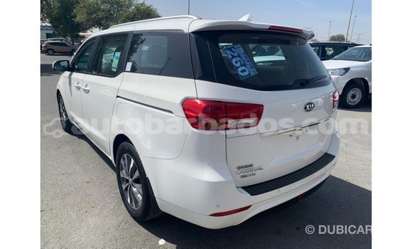 Buy Import Kia Carnival White Car in Import - Dubai in Barbados Buy Import Kia Carnival White Car in Import - Dubai in Barbados