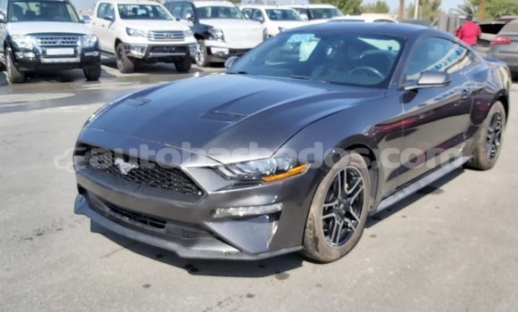Buy Import Ford Mustang Other Car in Import - Dubai in Barbados Buy Import Ford Mustang Other Car in Import - Dubai in Barbados