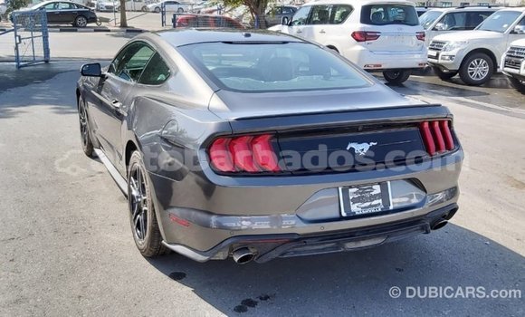 Buy Import Ford Mustang Other Car in Import - Dubai in Barbados Buy Import Ford Mustang Other Car in Import - Dubai in Barbados