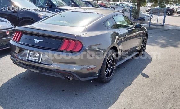 Buy Import Ford Mustang Other Car in Import - Dubai in Barbados Buy Import Ford Mustang Other Car in Import - Dubai in Barbados