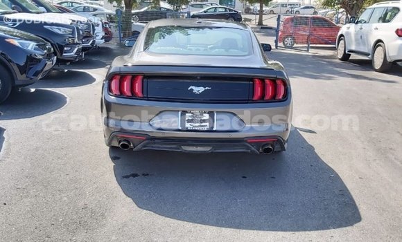 Buy Import Ford Mustang Other Car in Import - Dubai in Barbados Buy Import Ford Mustang Other Car in Import - Dubai in Barbados