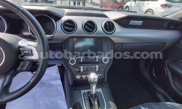 Buy Import Ford Mustang Other Car in Import - Dubai in Barbados Buy Import Ford Mustang Other Car in Import - Dubai in Barbados