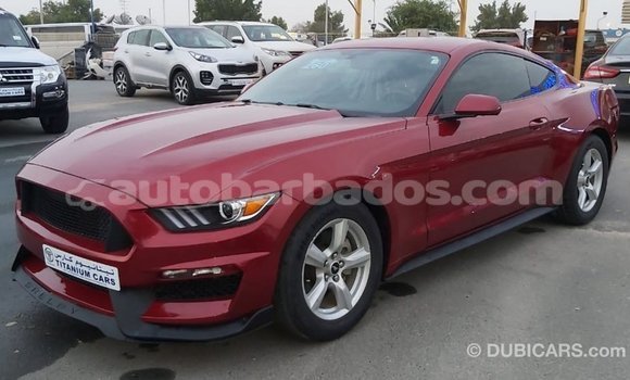 Buy Import Ford Mustang Red Car in Import - Dubai in Barbados Buy Import Ford Mustang Red Car in Import - Dubai in Barbados